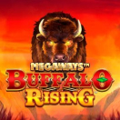 Buffalo Rising Megaways All Action